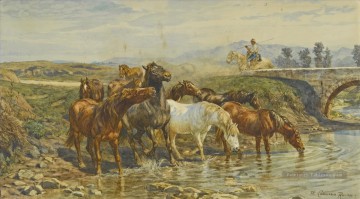 Chevaux buvant à un ruisseau Enrico Coleman genre Peinture à l'huile